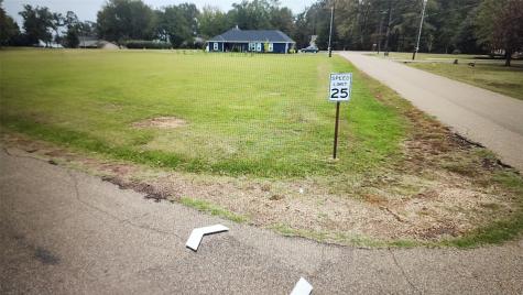 Lot 50 Hopes Landing Pittsburg TX 75455