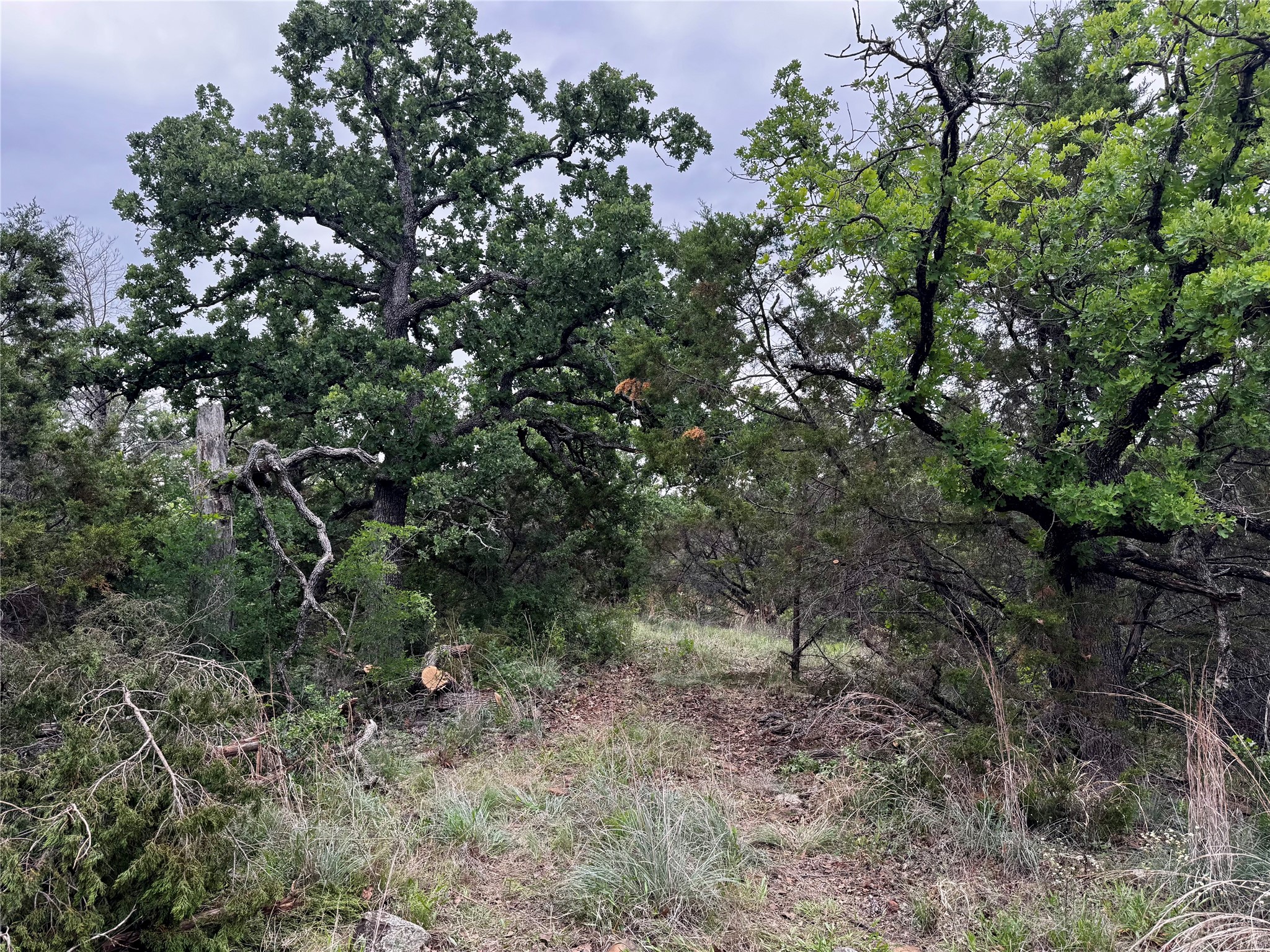 Tbd Village Bend Road Mineral Wells TX 76067
