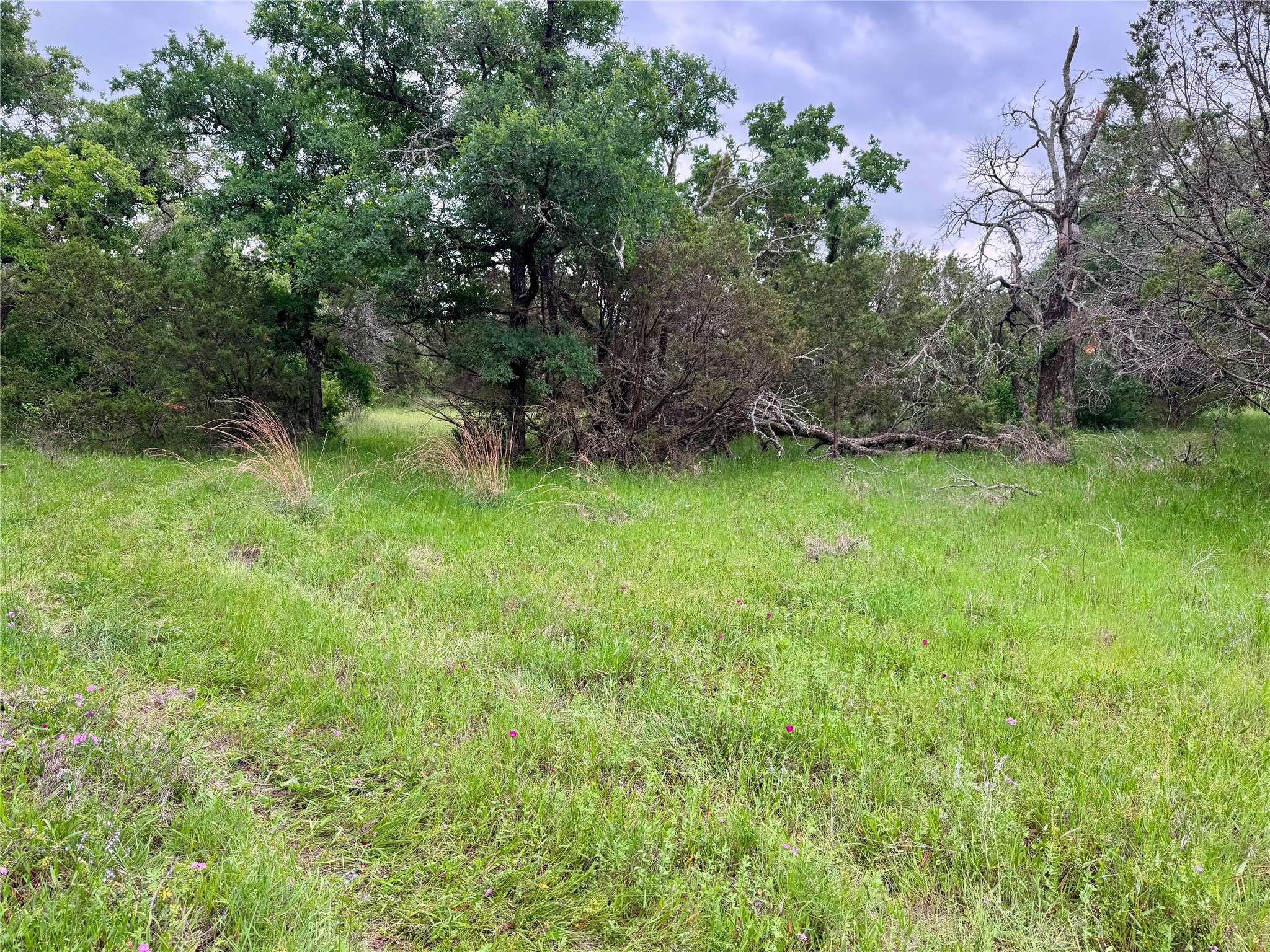 Tbd Village Bend Road Mineral Wells TX 76067