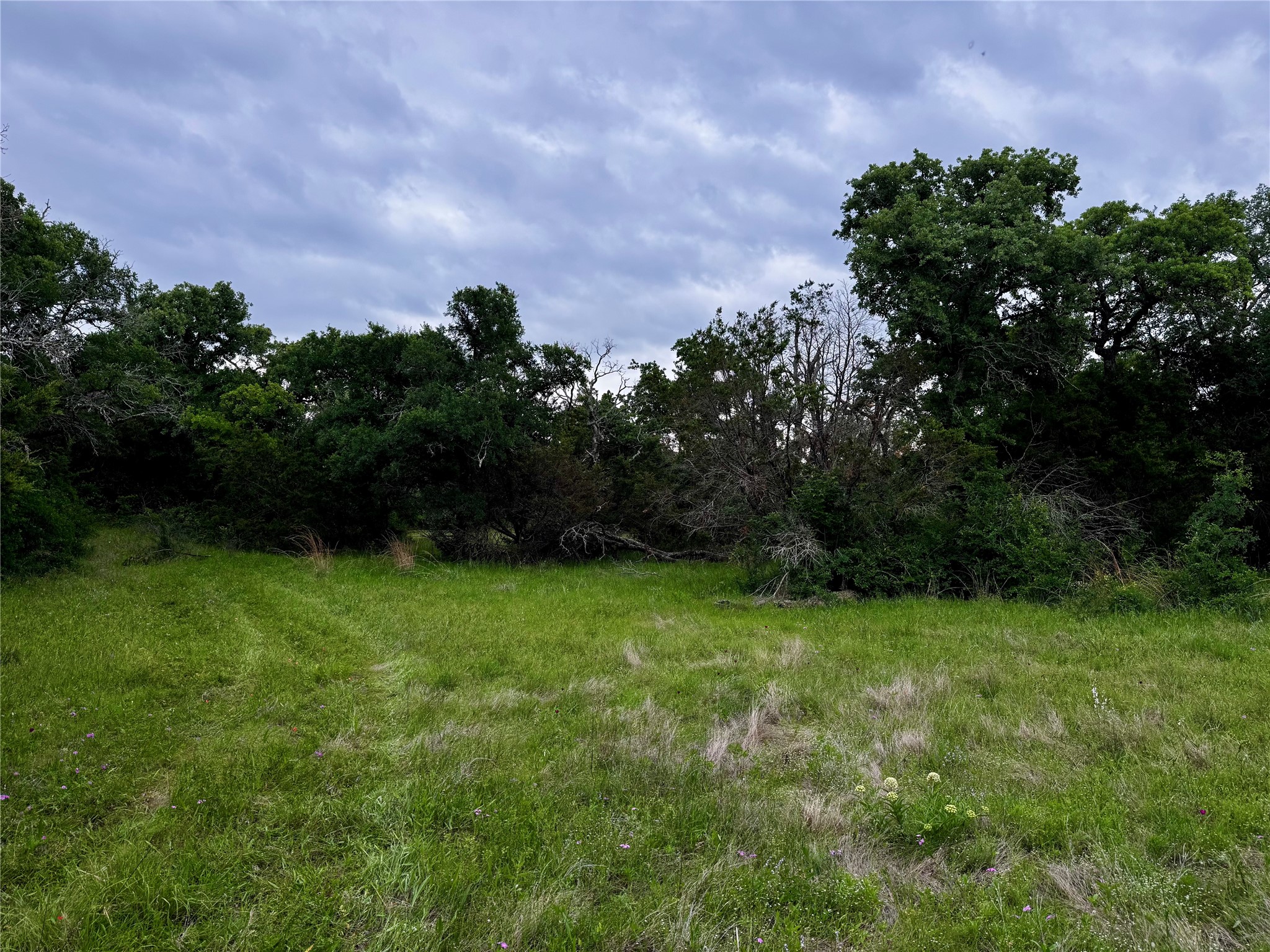 Tbd Village Bend Road Mineral Wells TX 76067