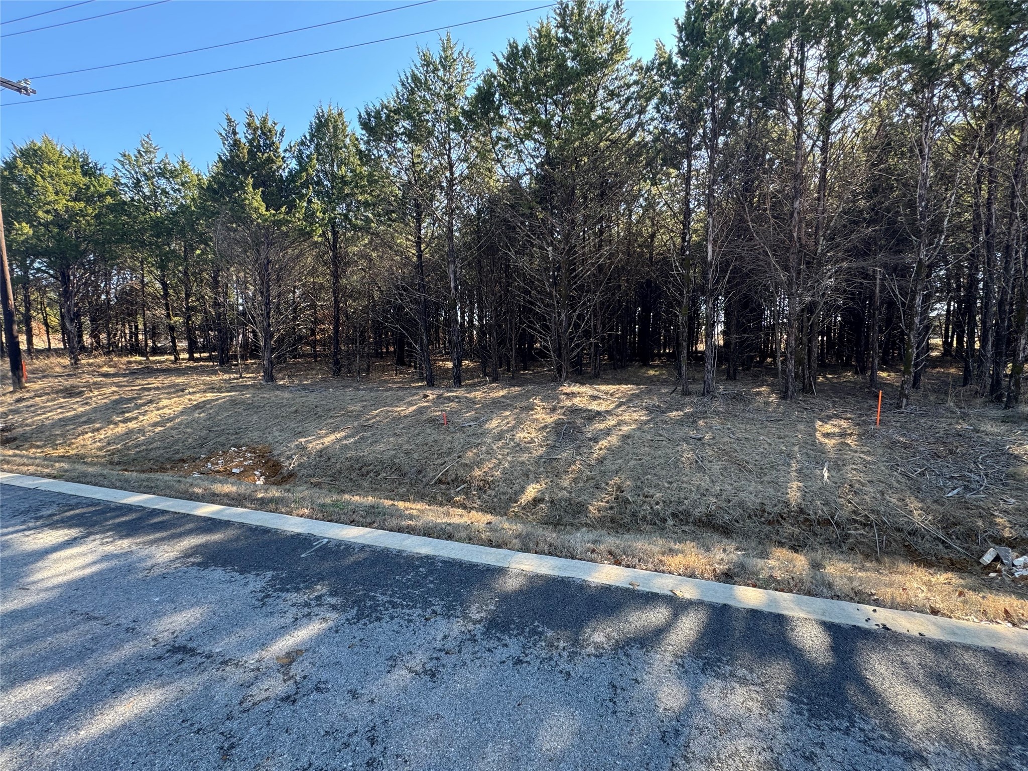 137 Pine Hills Lane Gordonville TX 76245