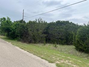 5007 Horseshoe Drive Whitney TX 76692