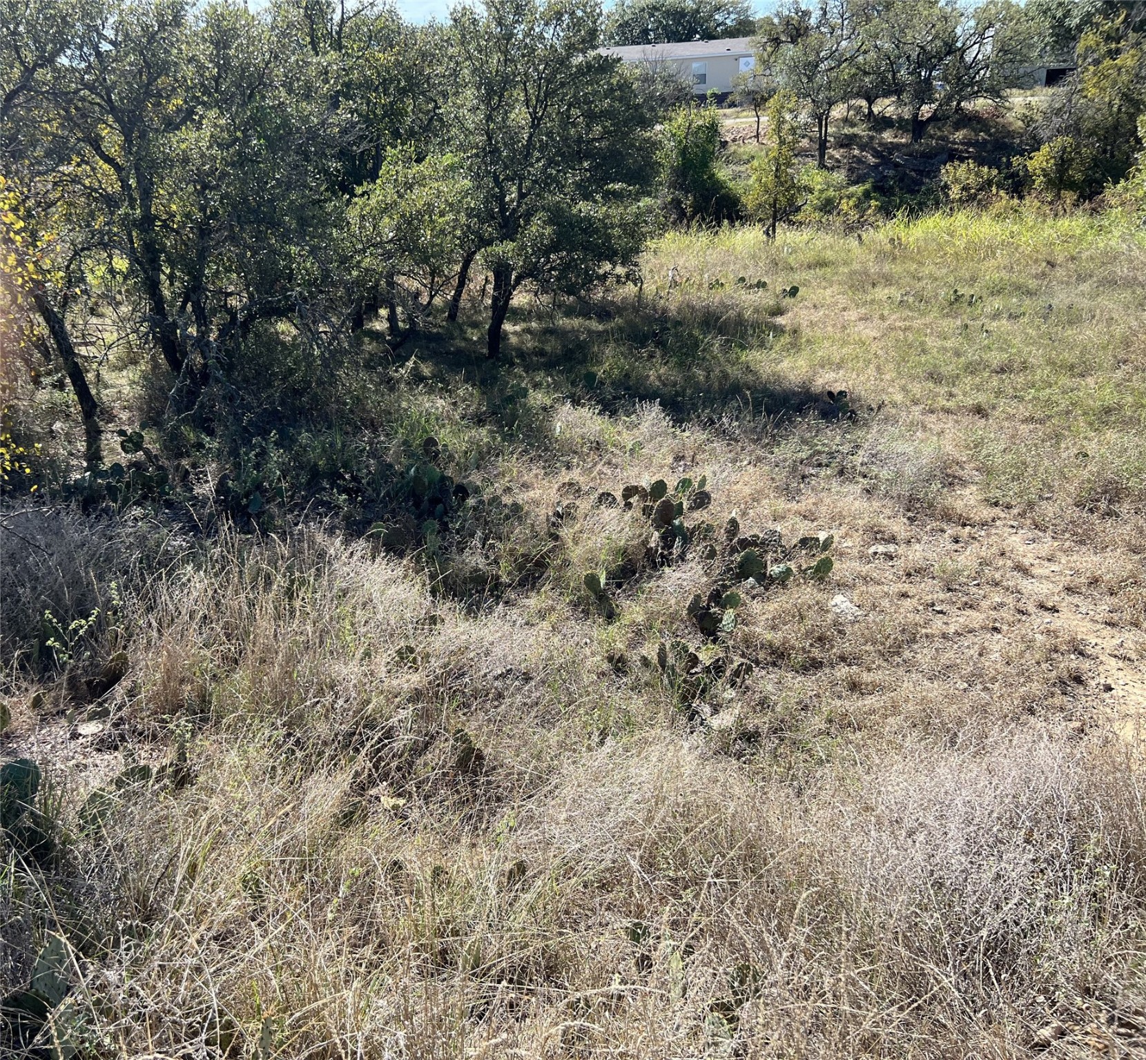 29 &30 Brook Valley Drive May TX 76857