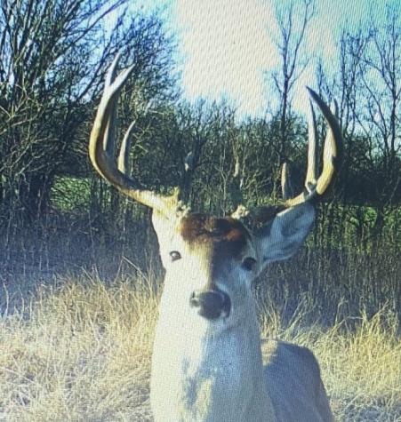 Tbd Hcr 3430 Bynum TX 76631