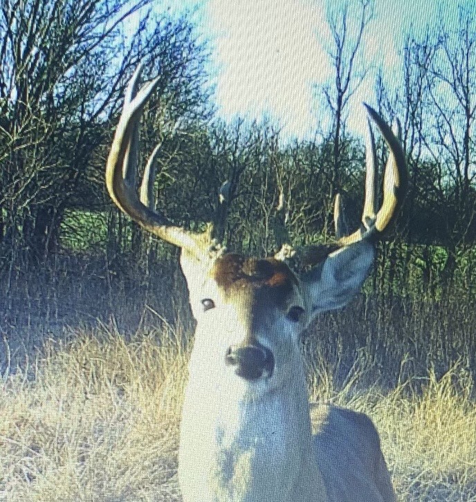 Tbd Hcr 3430 Bynum TX 76631