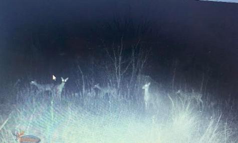 Tbd Hcr 3430 Bynum TX 76631