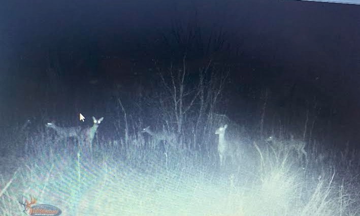 Tbd Hcr 3430 Bynum TX 76631
