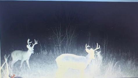 Tbd Hcr 3430 Bynum TX 76631