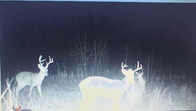 Tbd Hcr 3430 Bynum TX 76631