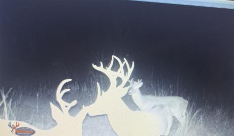 Tbd Hcr 3430 Bynum TX 76631