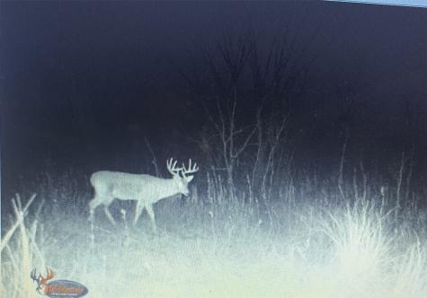 Tbd Hcr 3430 Bynum TX 76631