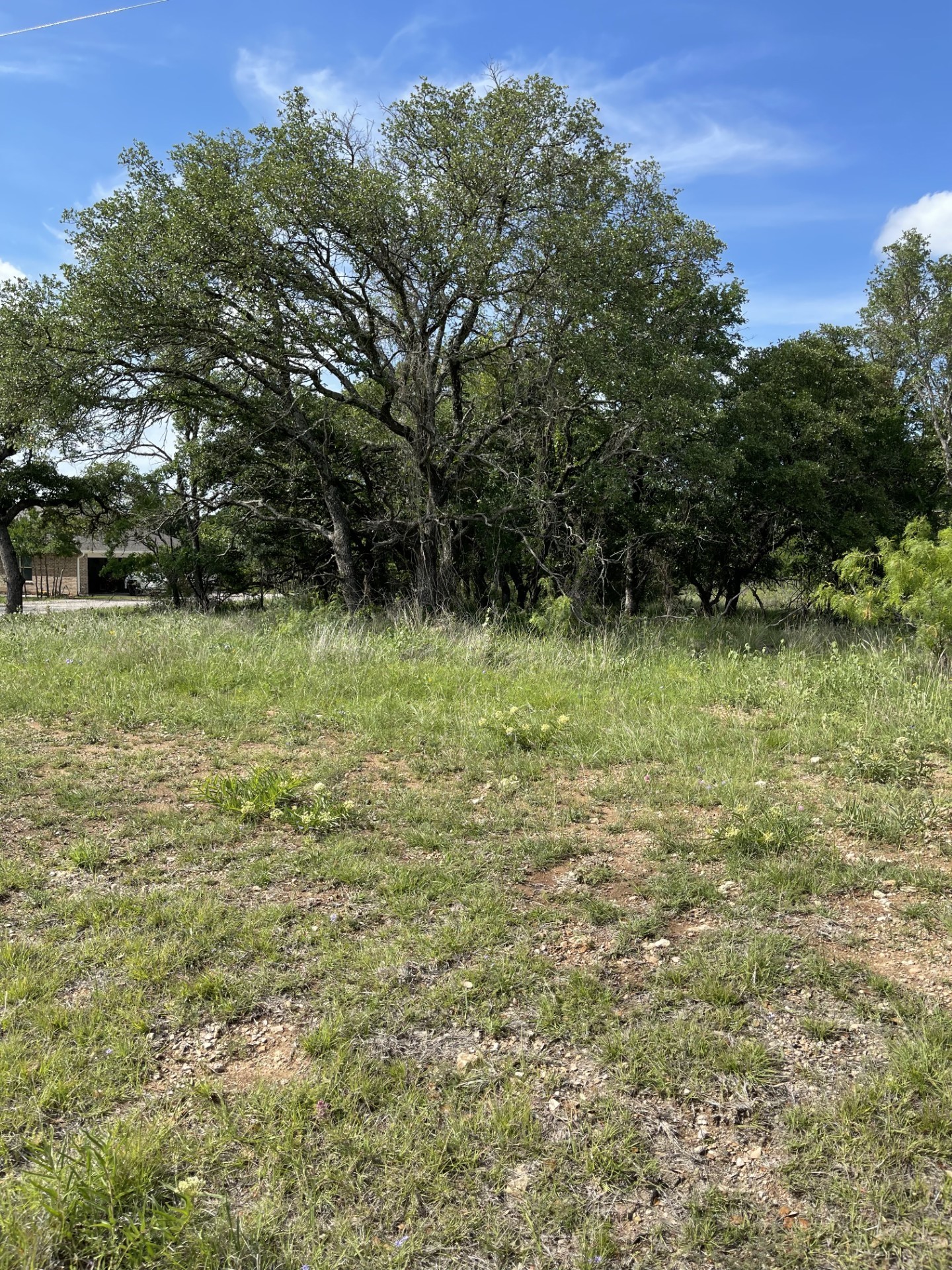 LOT#10 Fm 3021 Brownwood TX 76801