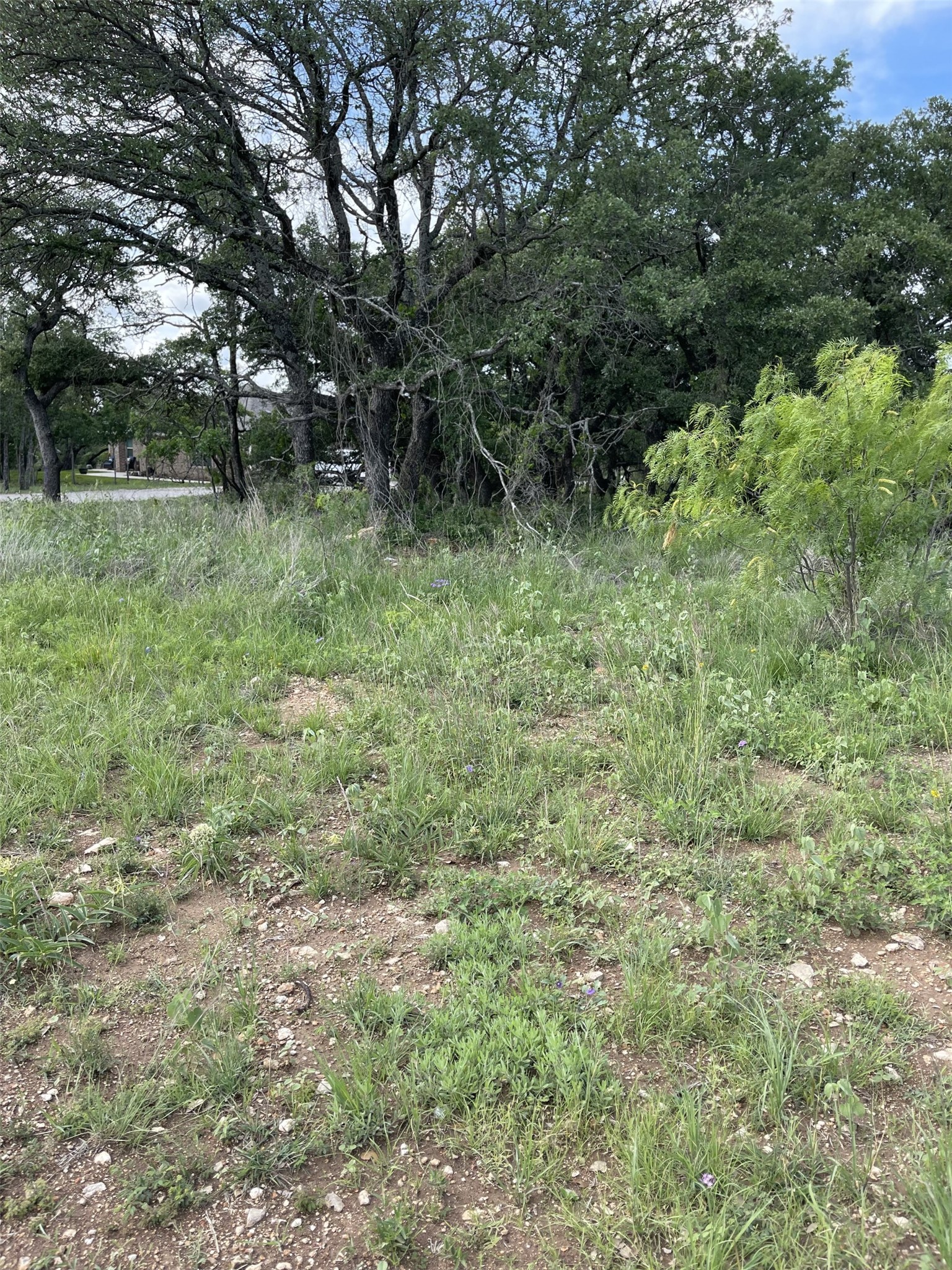 LOT#10 Fm 3021 Brownwood TX 76801