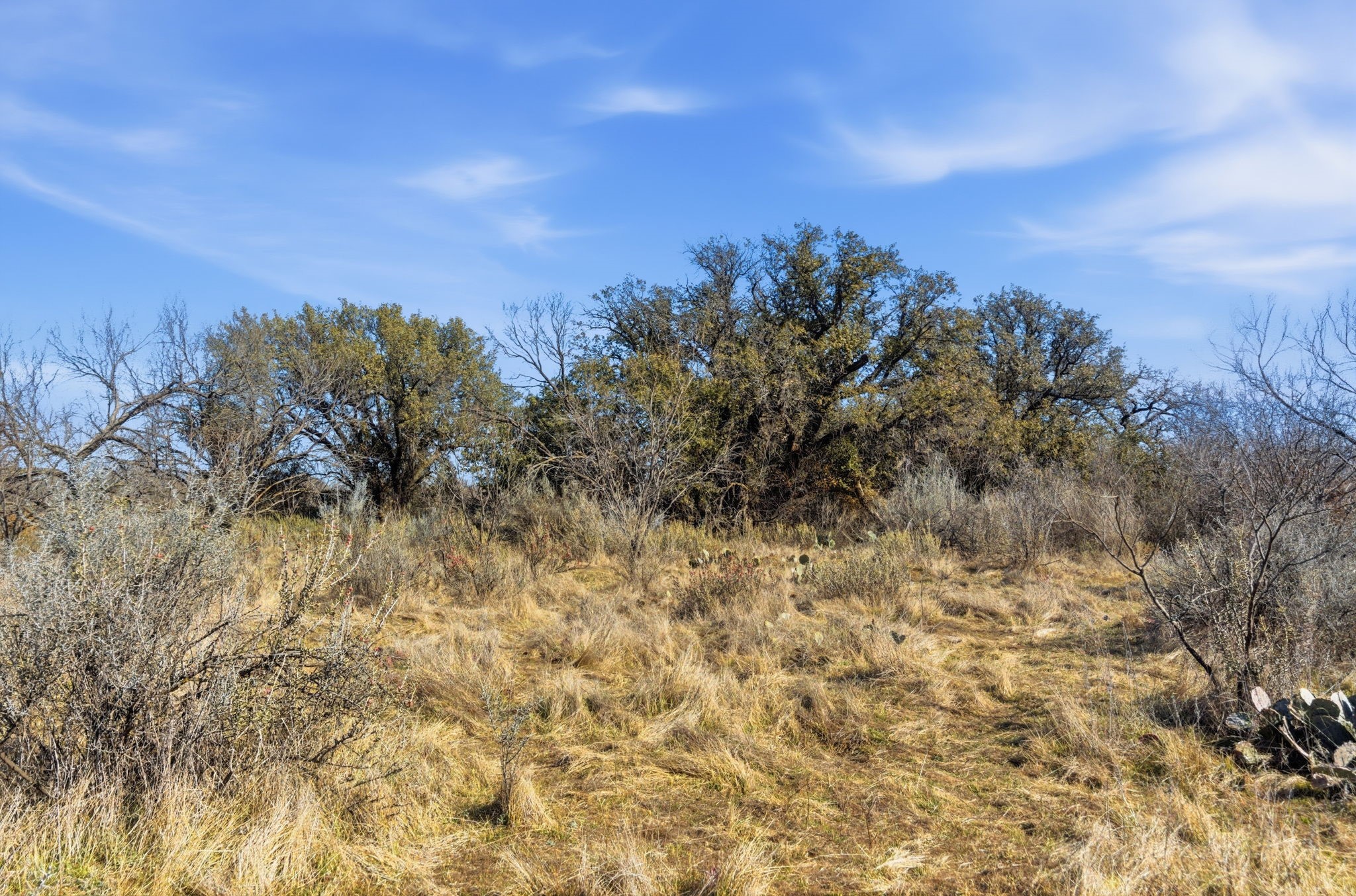 Tract 2 Fm 880 Moran TX 76464