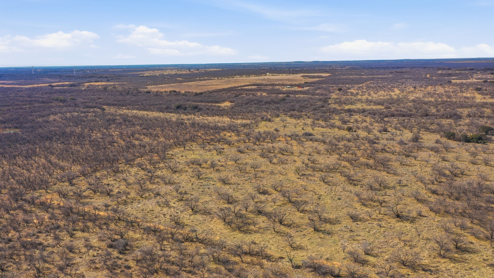 Tract 2 Fm 880 Moran TX 76464
