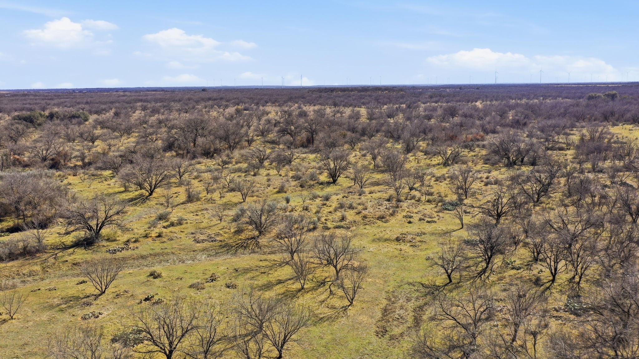 Tract 2 Fm 880 Moran TX 76464