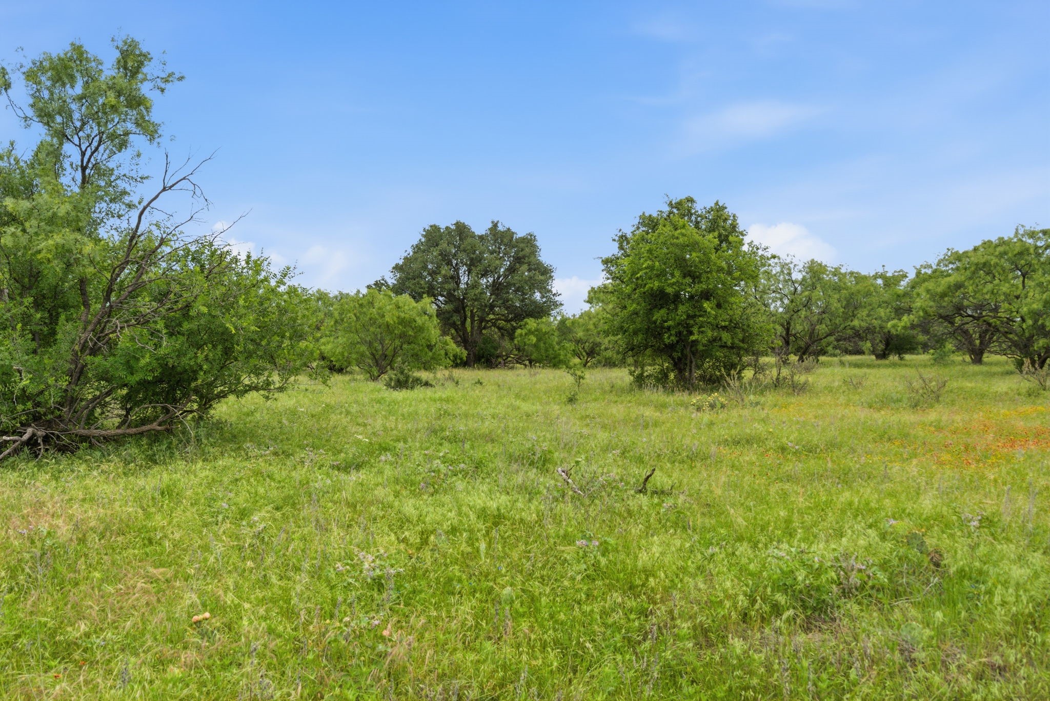 Tract 2 Fm 880 Moran TX 76464