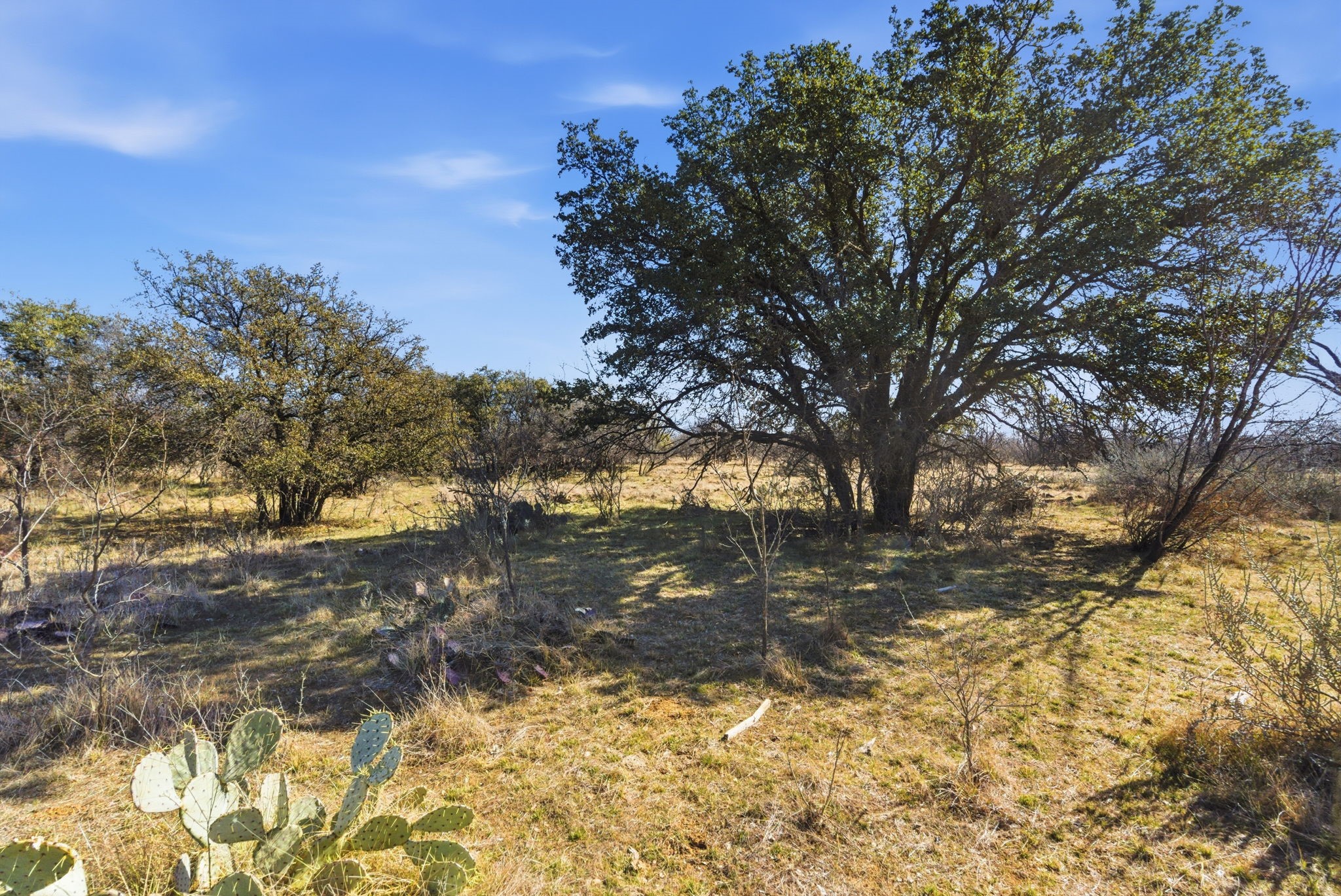 Tract 2 Fm 880 Moran TX 76464