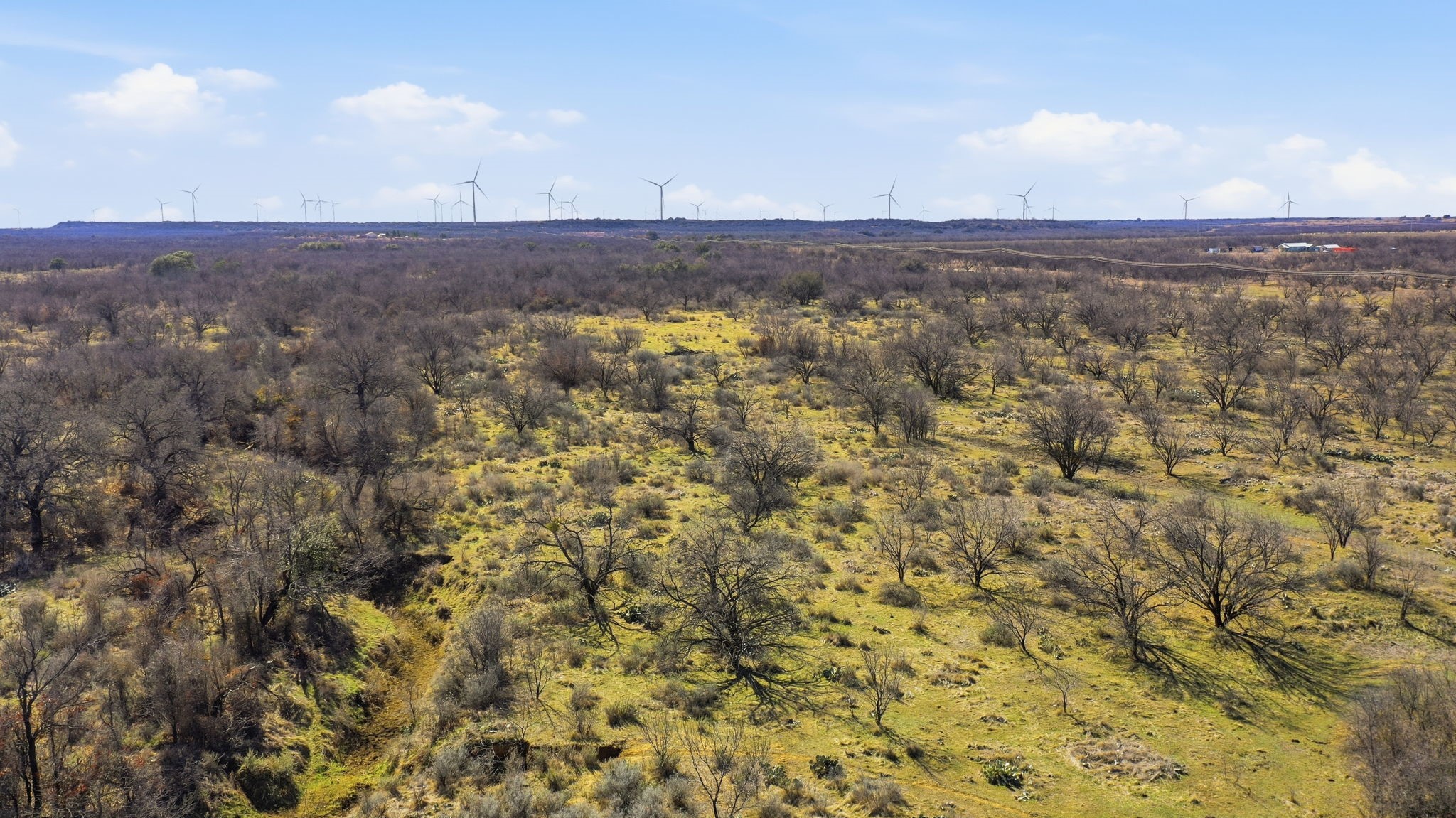 Tract 2 Fm 880 Moran TX 76464