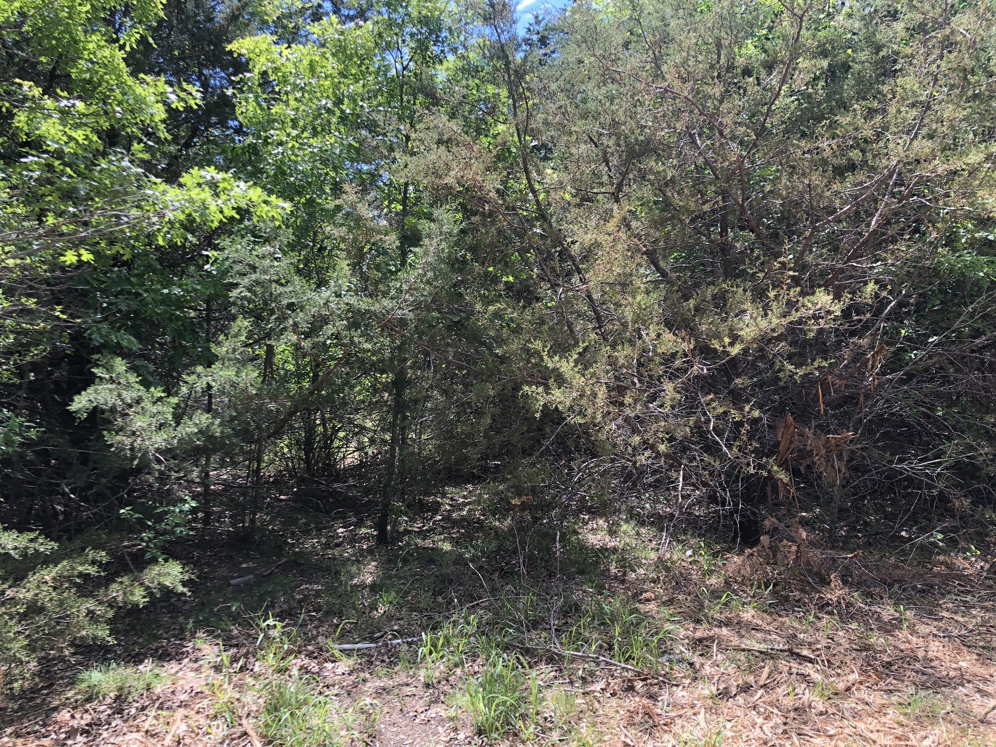 1408 Robyn Road Azle TX 76020