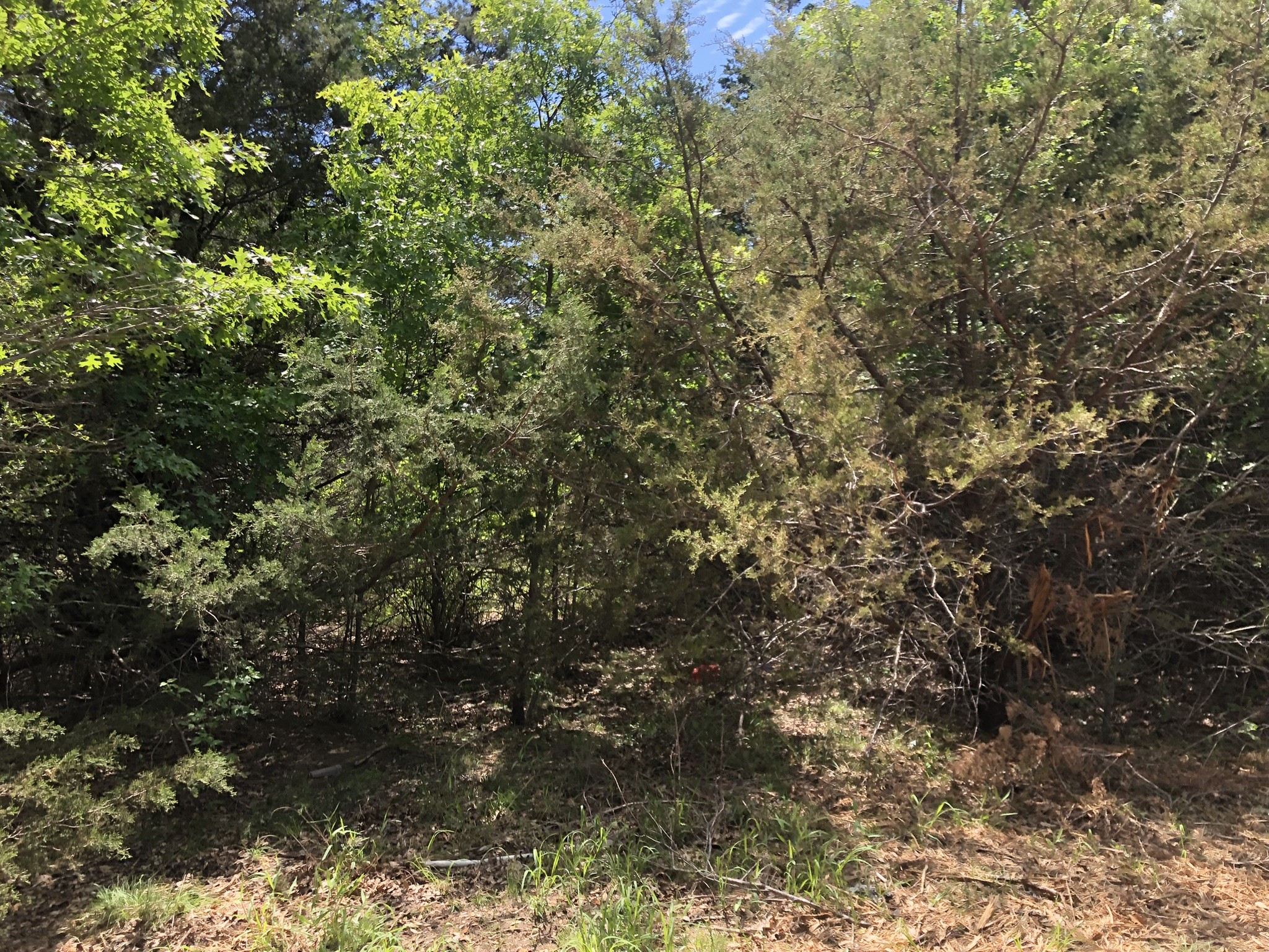 1408 Robyn Road Azle TX 76020
