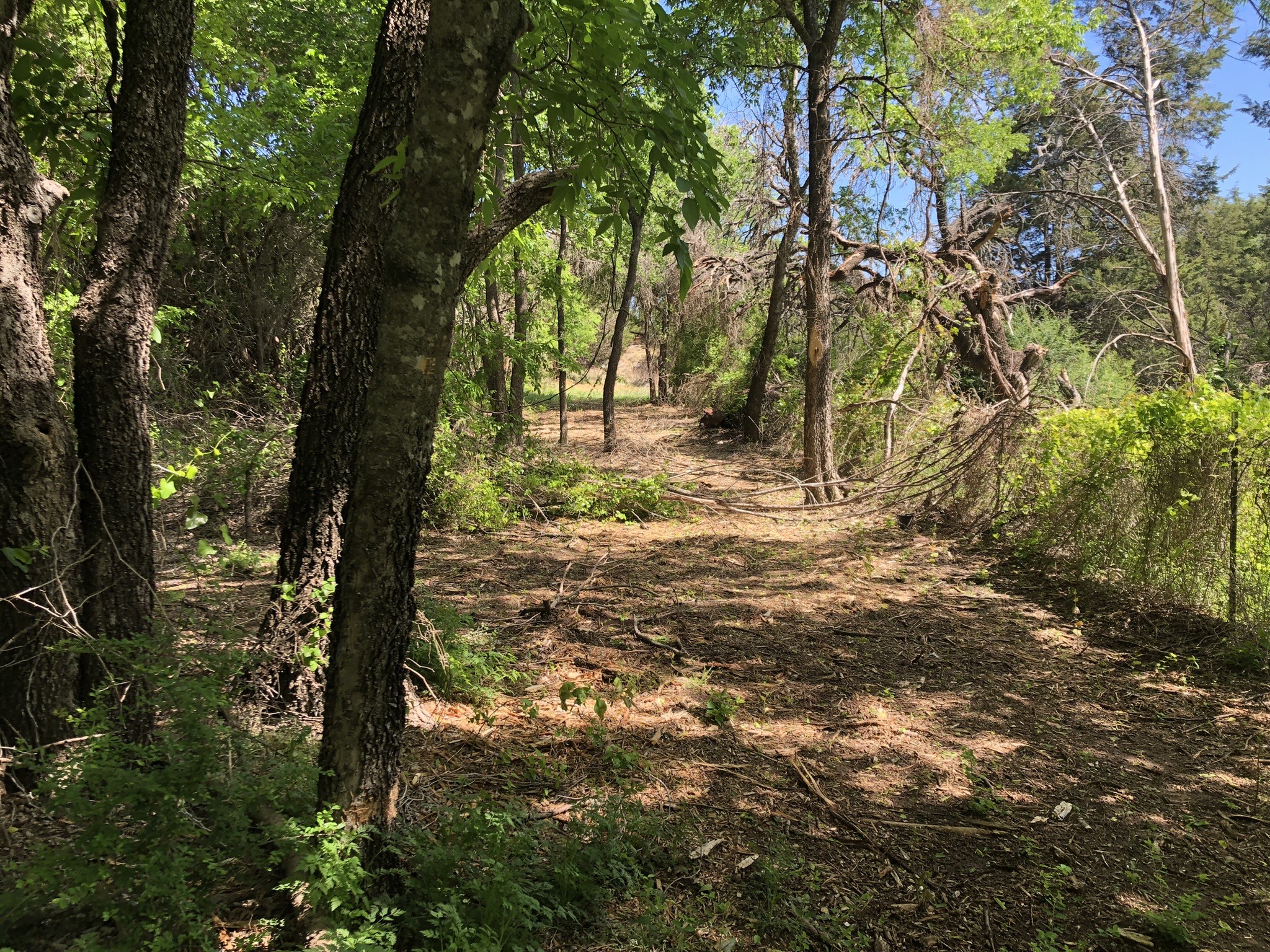 1408 Robyn Road Azle TX 76020