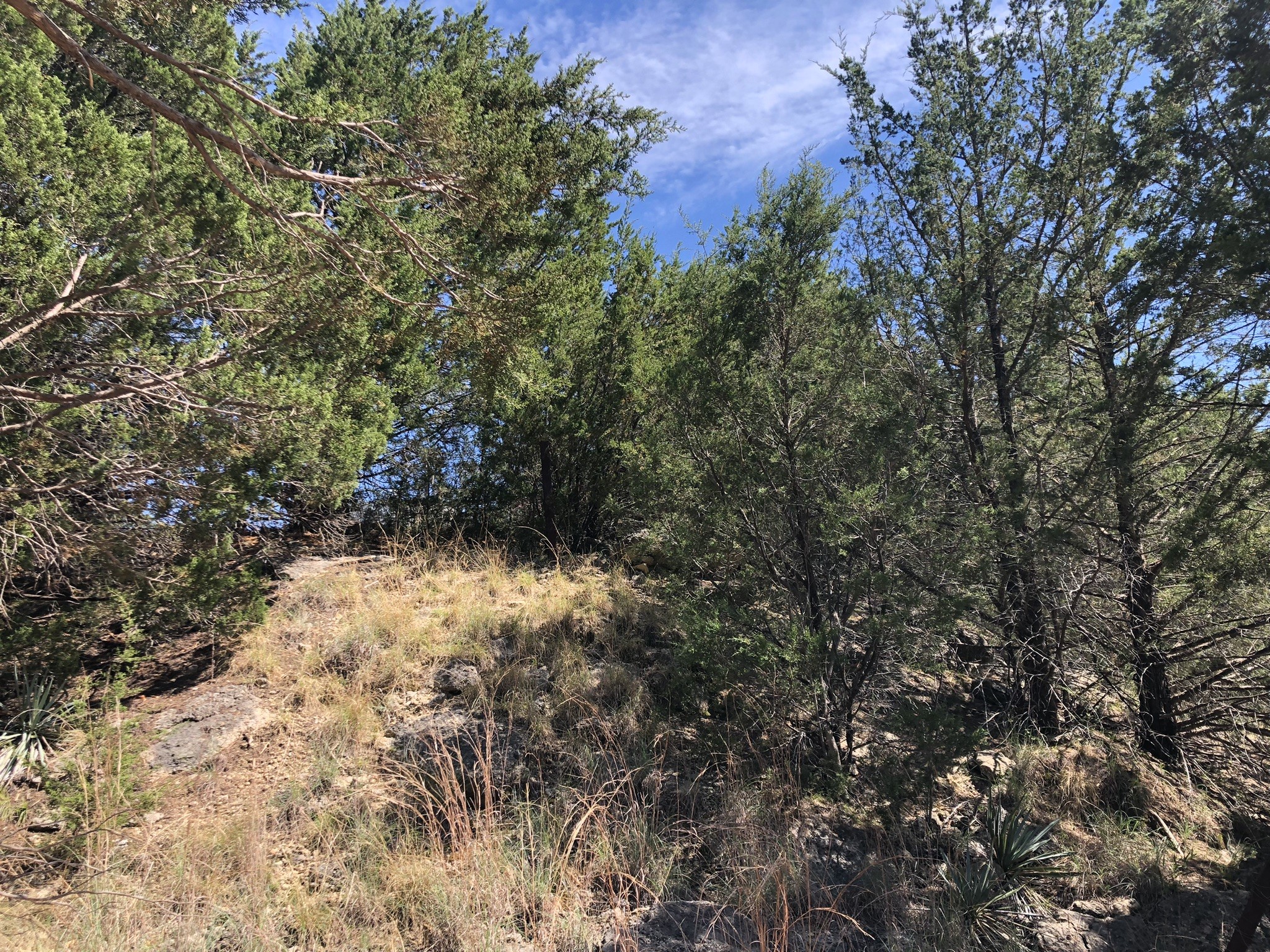 1408 Robyn Road Azle TX 76020
