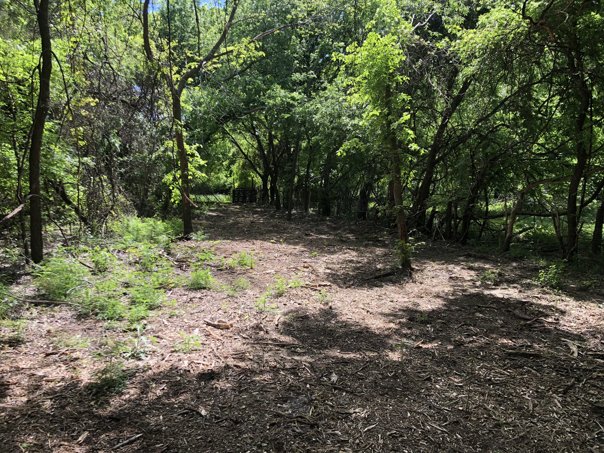 1408 Robyn Road Azle TX 76020