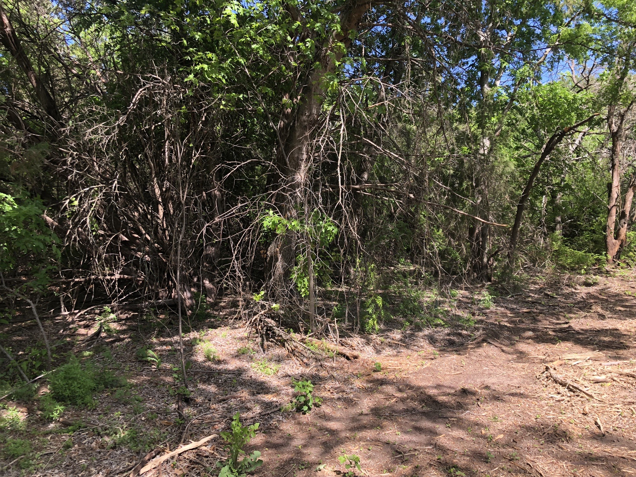 1408 Robyn Road Azle TX 76020