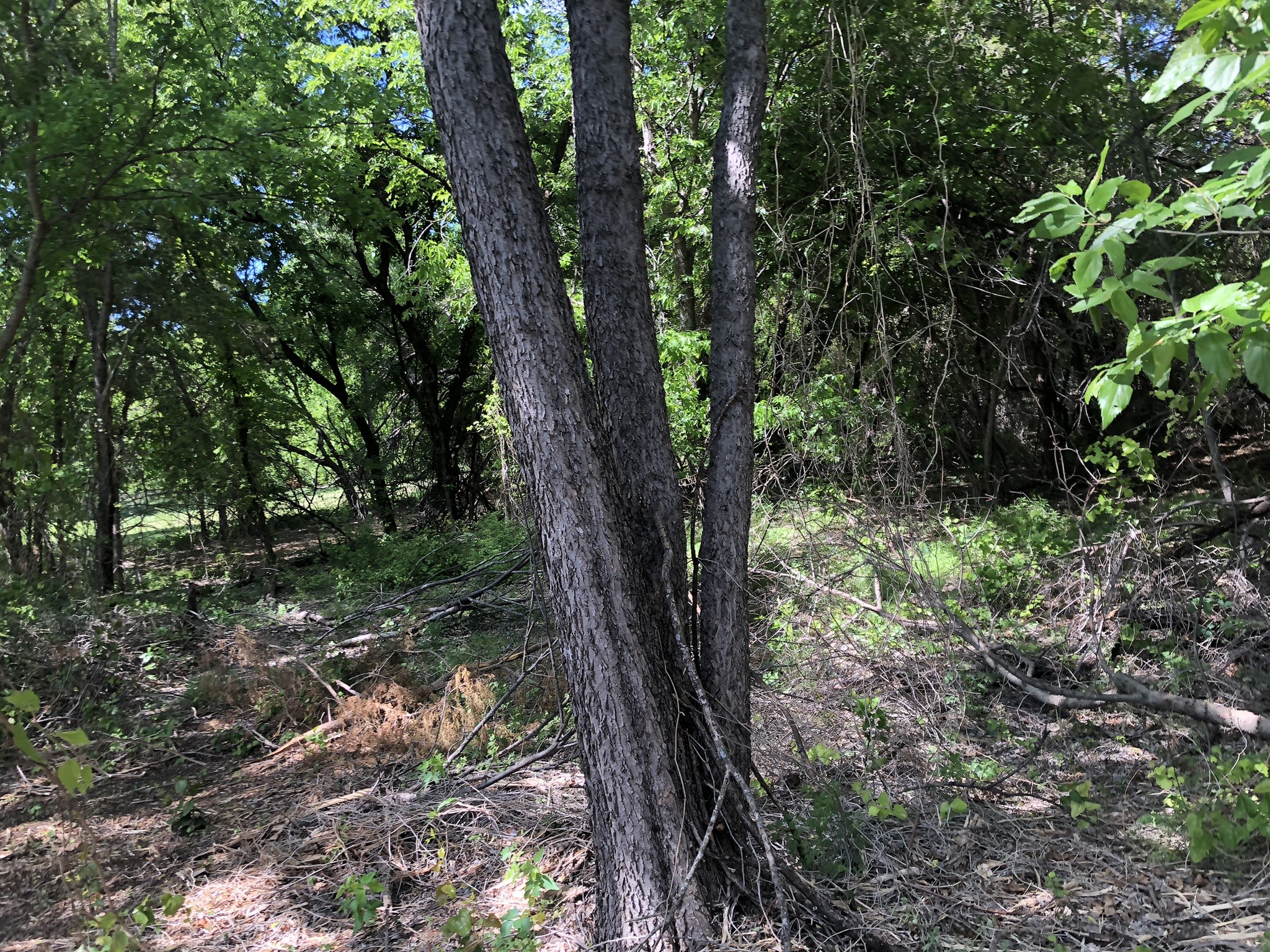 1408 Robyn Road Azle TX 76020