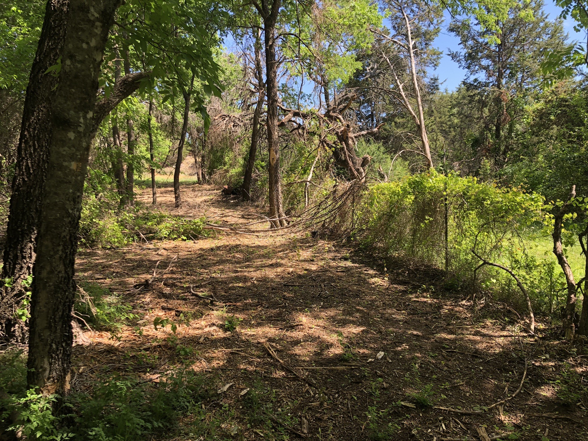 1408 Robyn Road Azle TX 76020