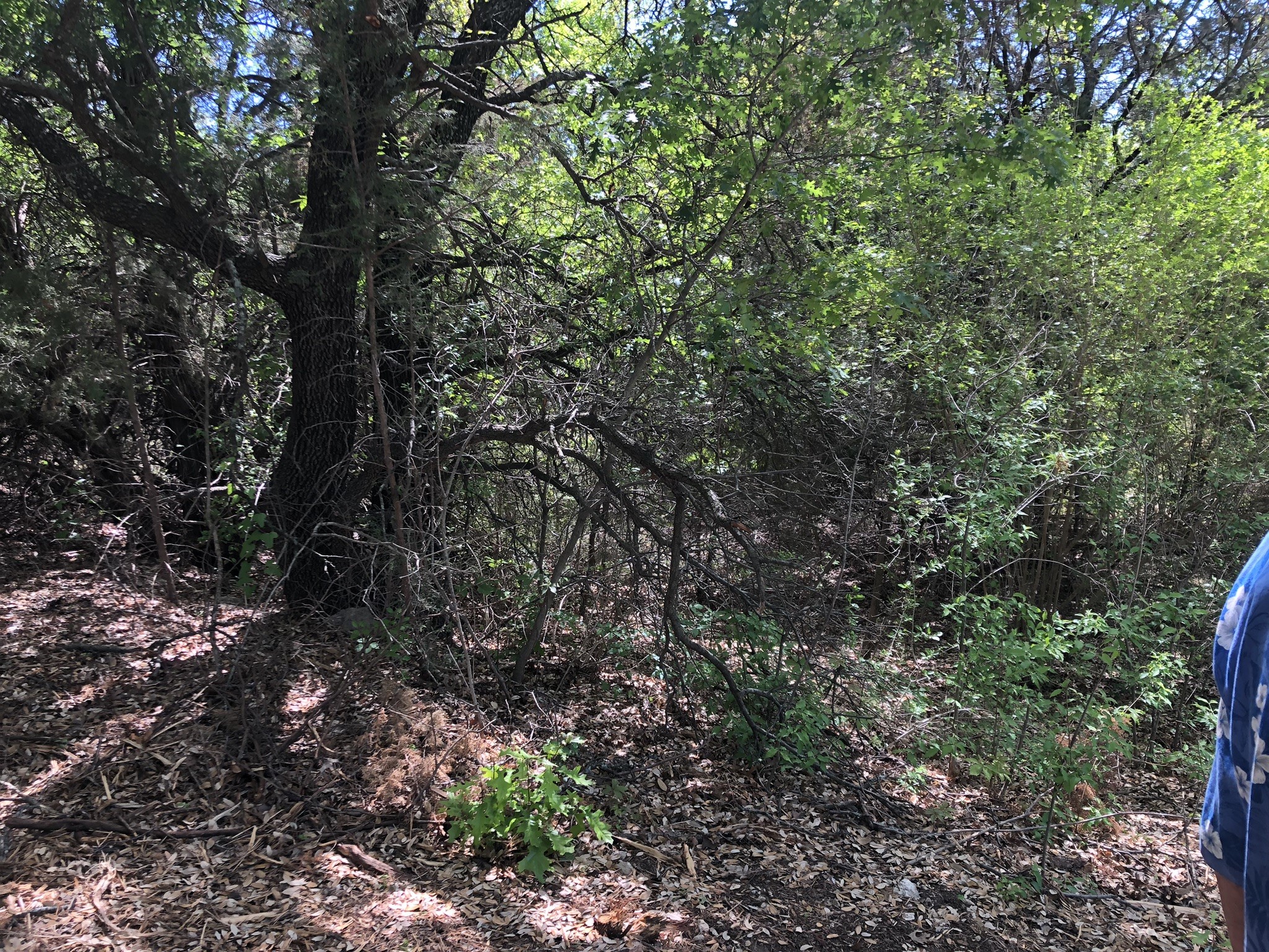 1408 Robyn Road Azle TX 76020