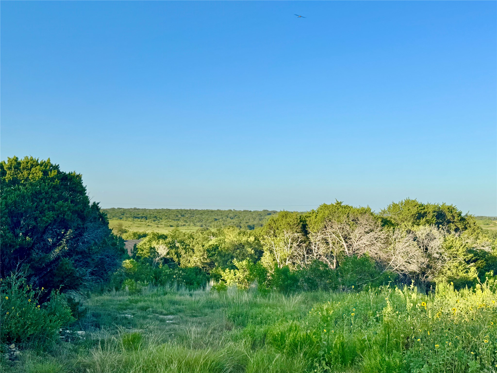 1363 Pr 34 Glen Rose TX 76048