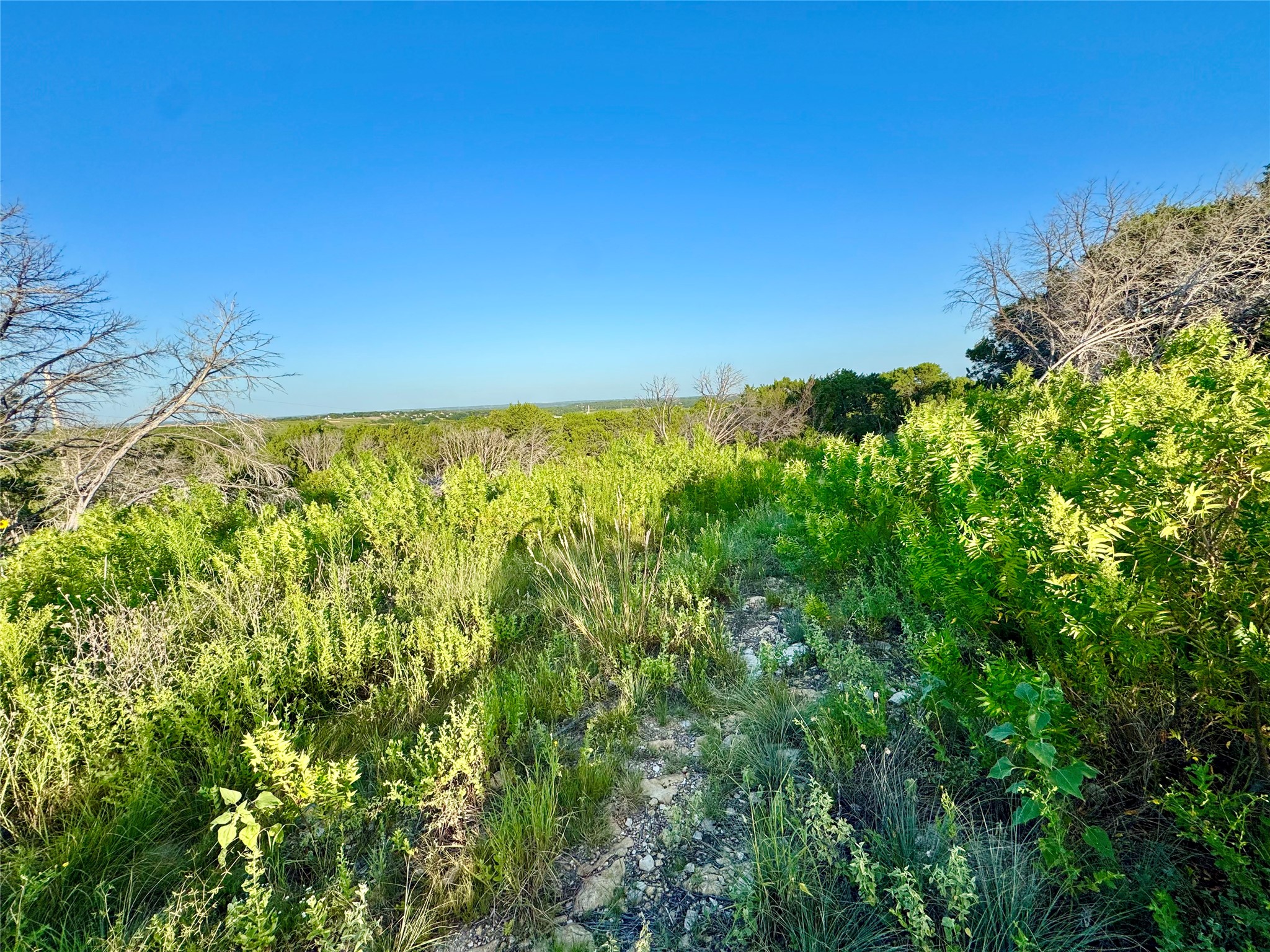 1363 Pr 34 Glen Rose TX 76048