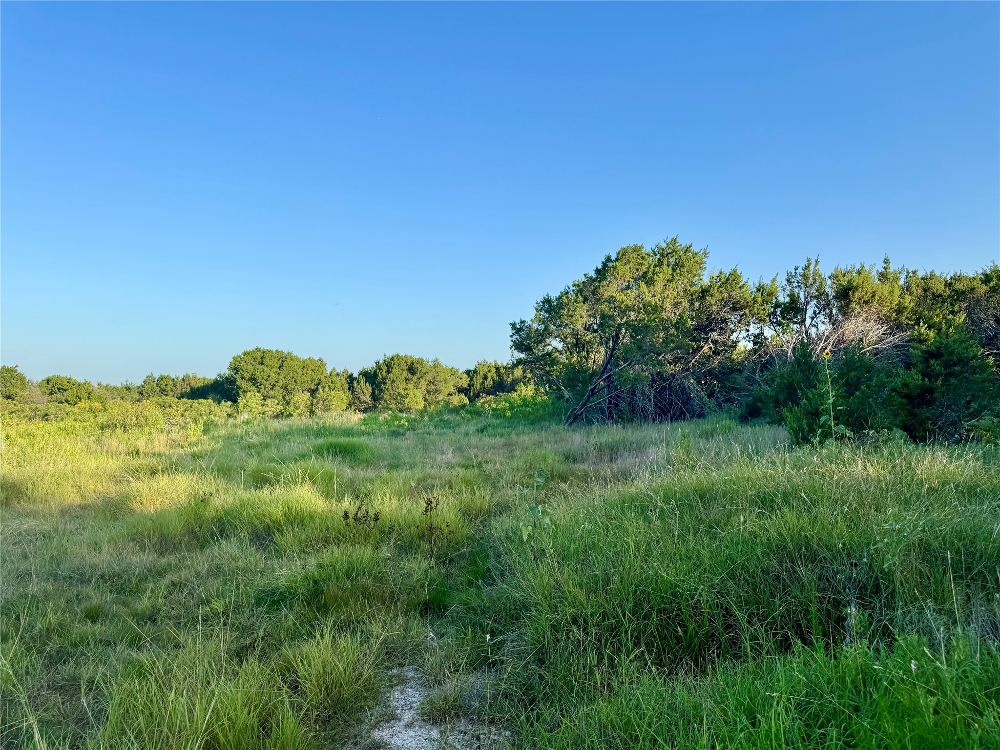 1363 Pr 34 Glen Rose TX 76048