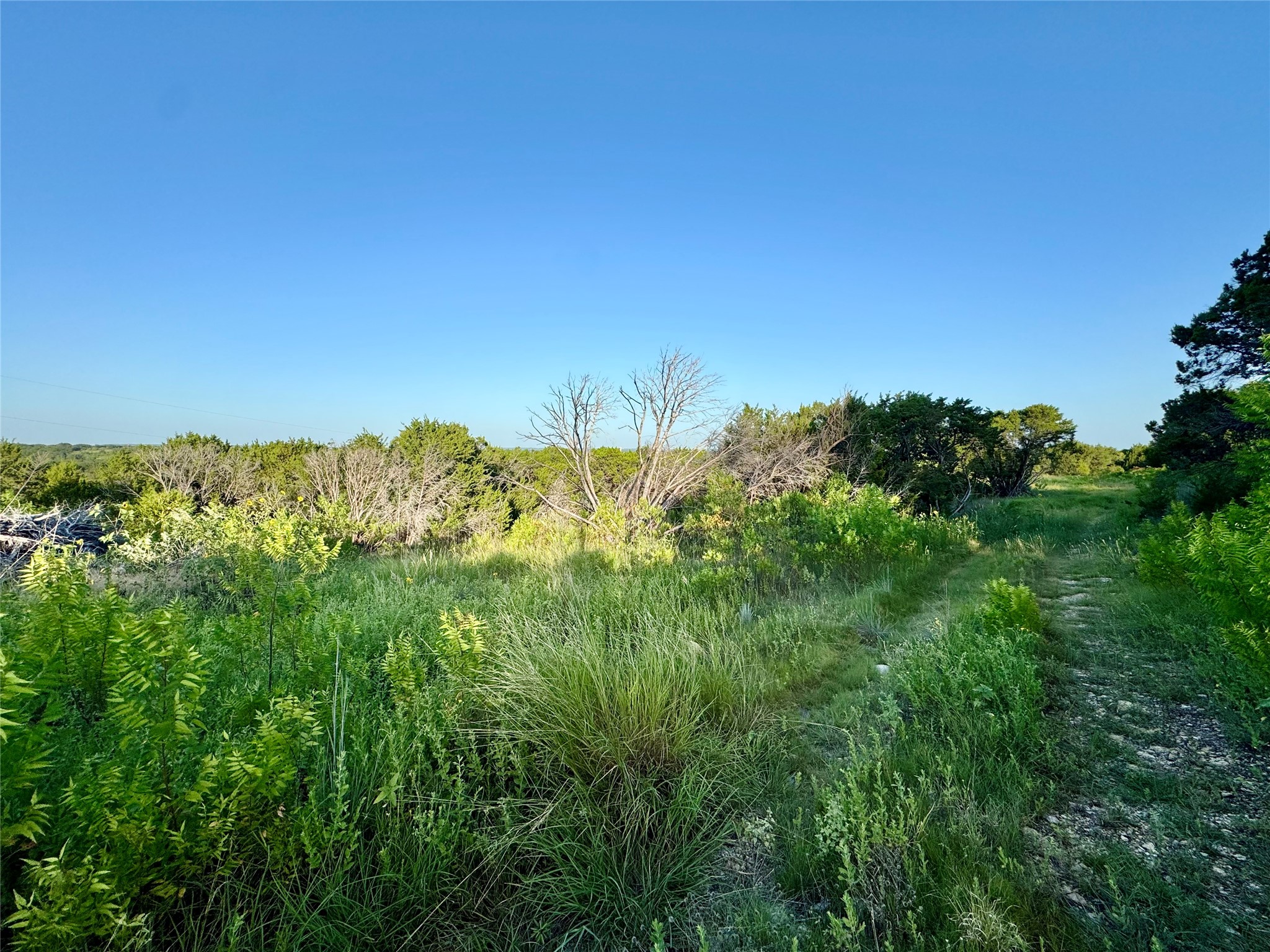 1363 Pr 34 Glen Rose TX 76048