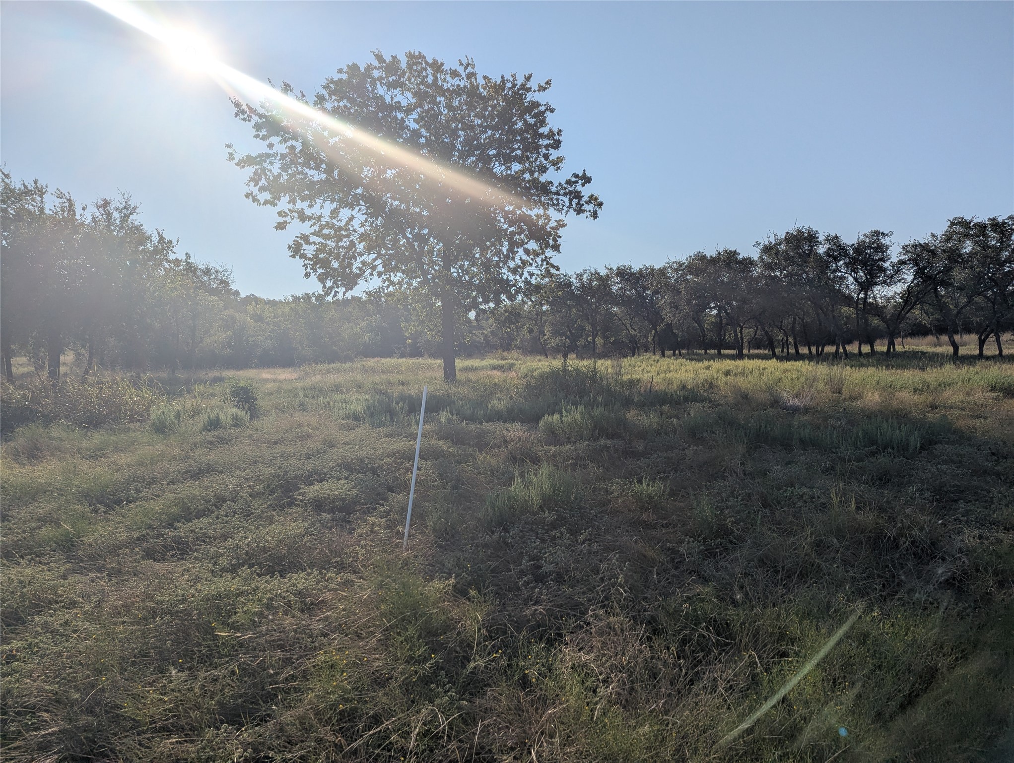 Tract 26 Cr 633 Indian Gap TX 76531