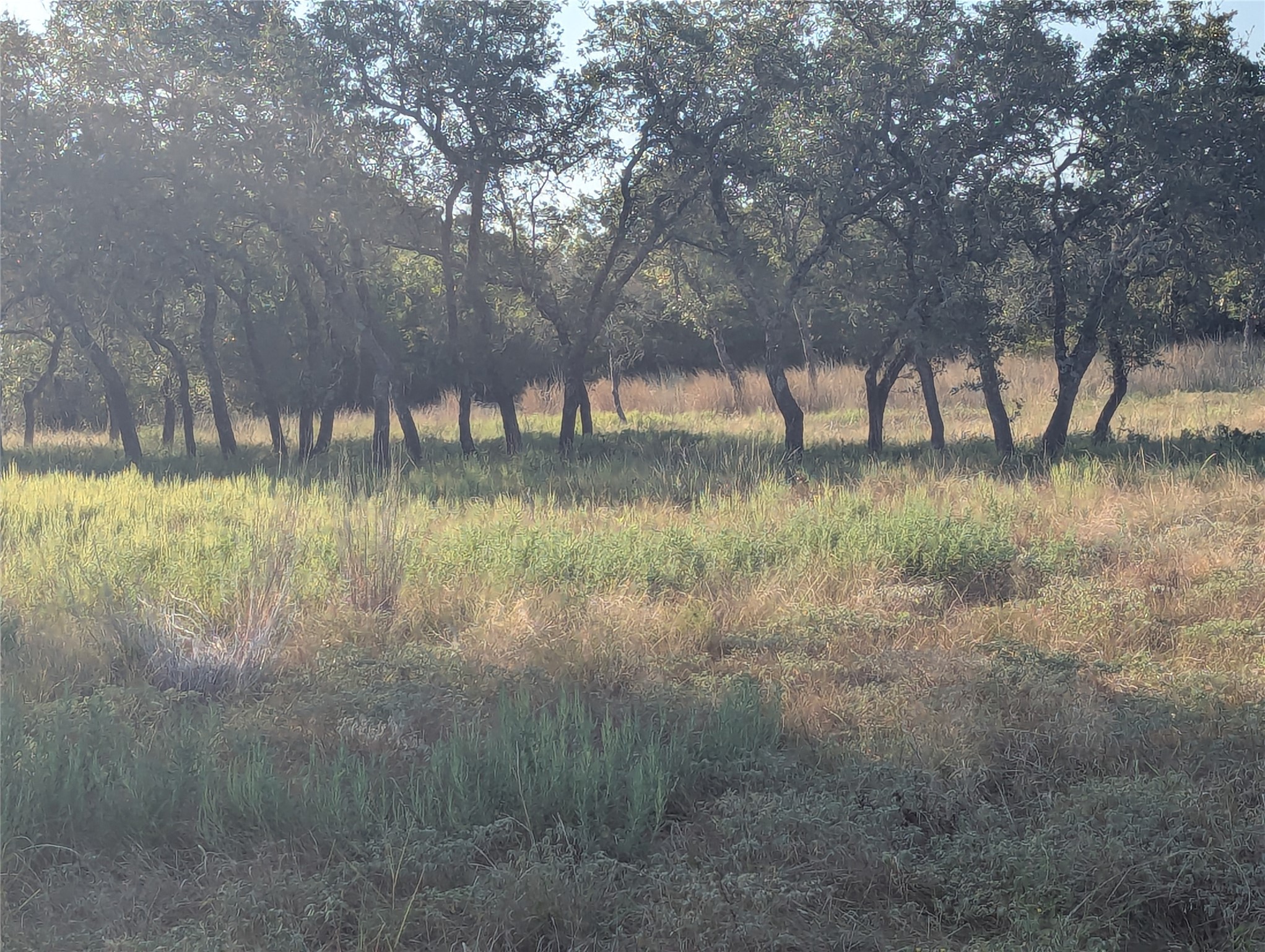 Tract 26 Cr 633 Indian Gap TX 76531