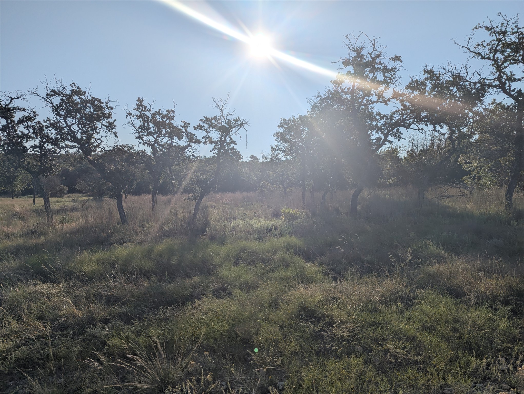Tract 26 Cr 633 Indian Gap TX 76531