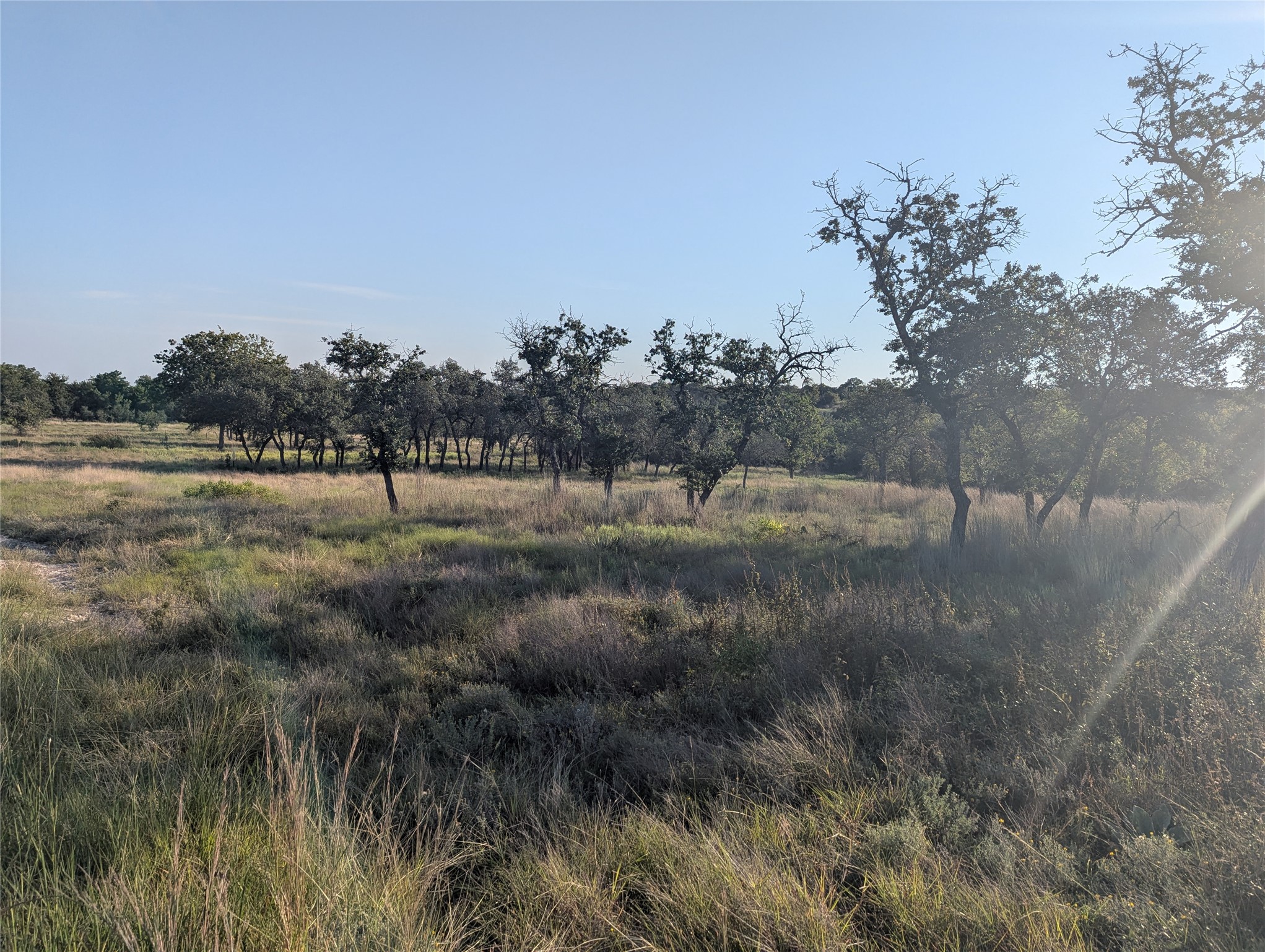 Tract 26 Cr 633 Indian Gap TX 76531
