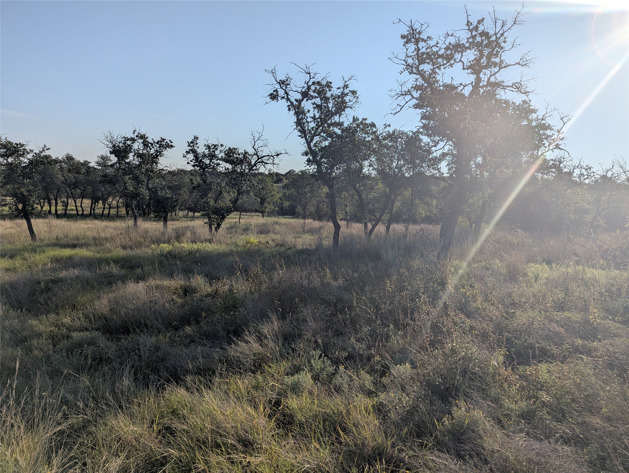 Tract 26 Cr 633 Indian Gap TX 76531