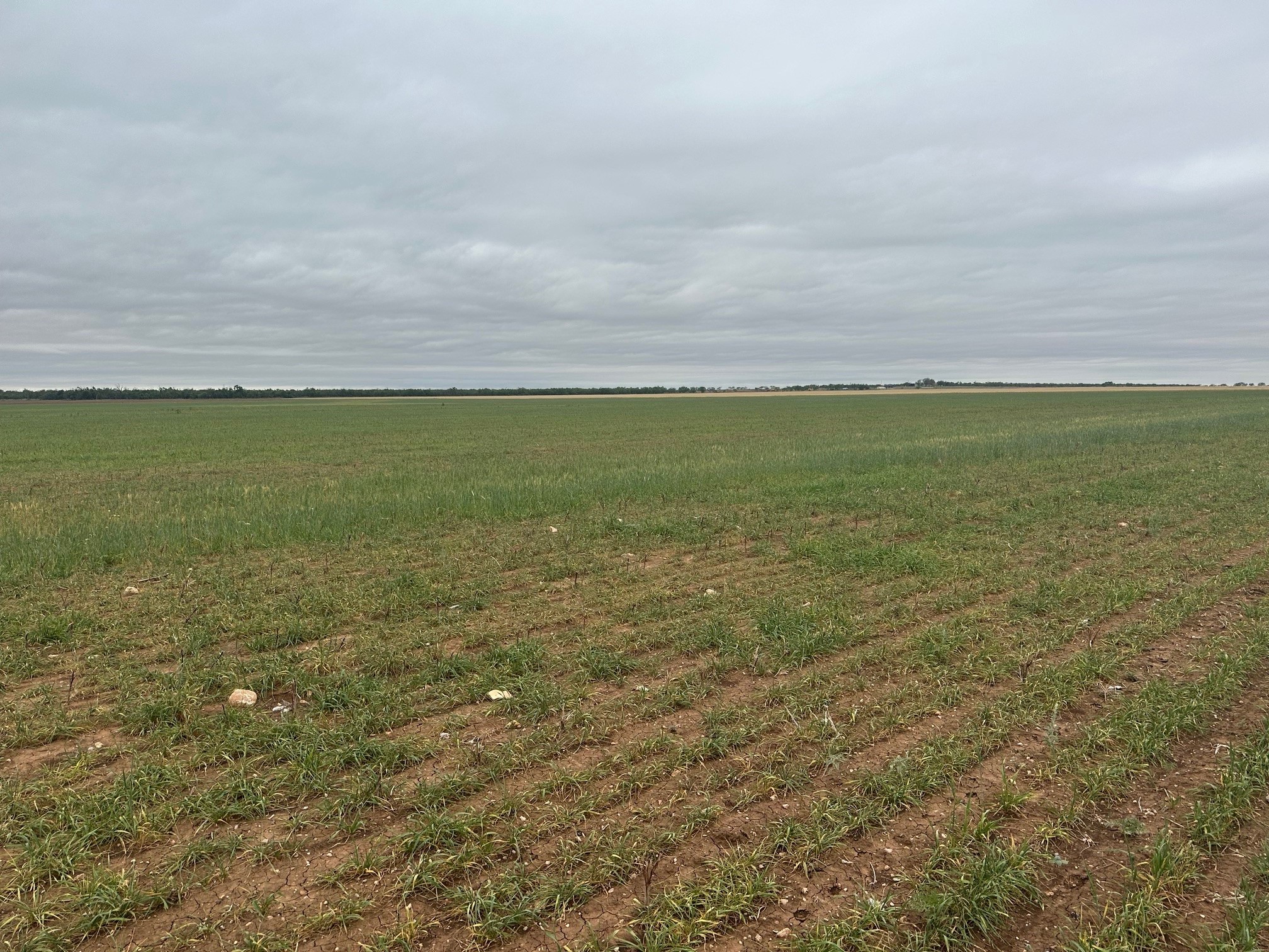 Tbd Fm 1812 ( Tract 2 ) Merkel TX 79536