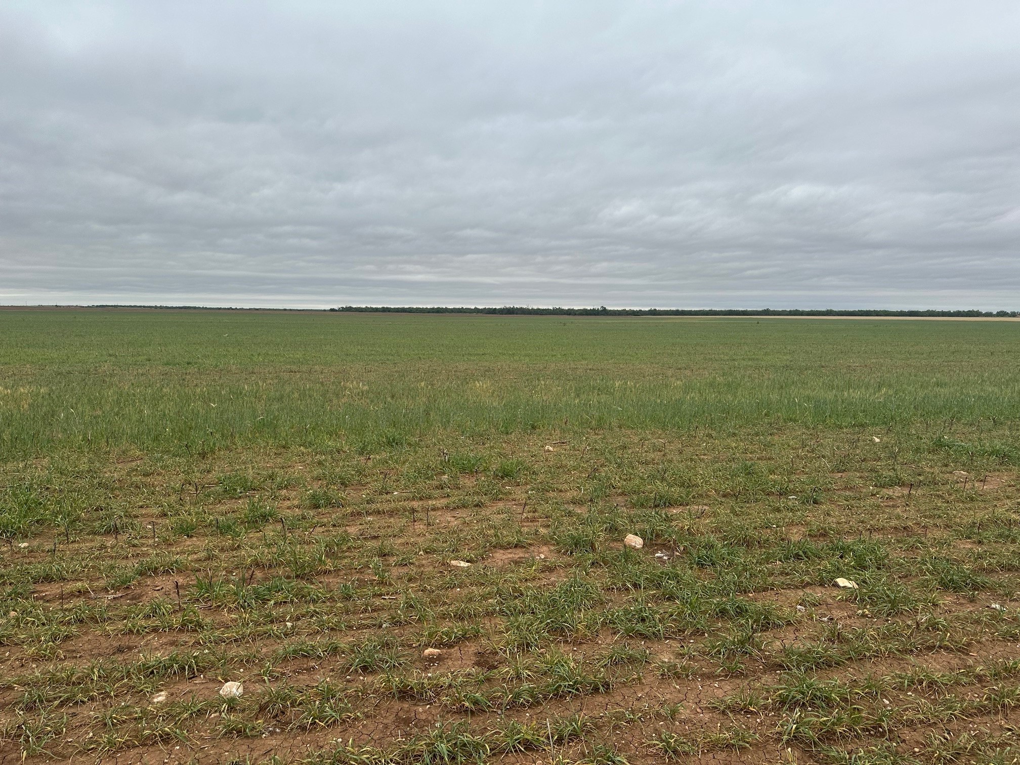 Tbd Fm 1812 ( Tract 2 ) Merkel TX 79536
