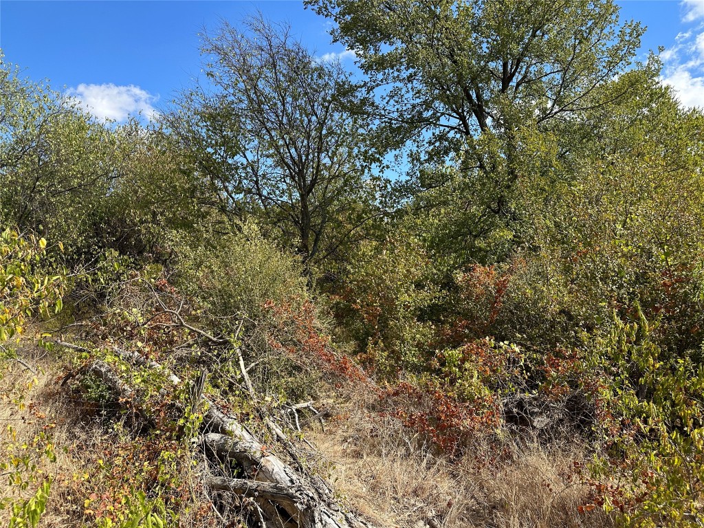 Tbd Lois Road W Sanger TX 76266