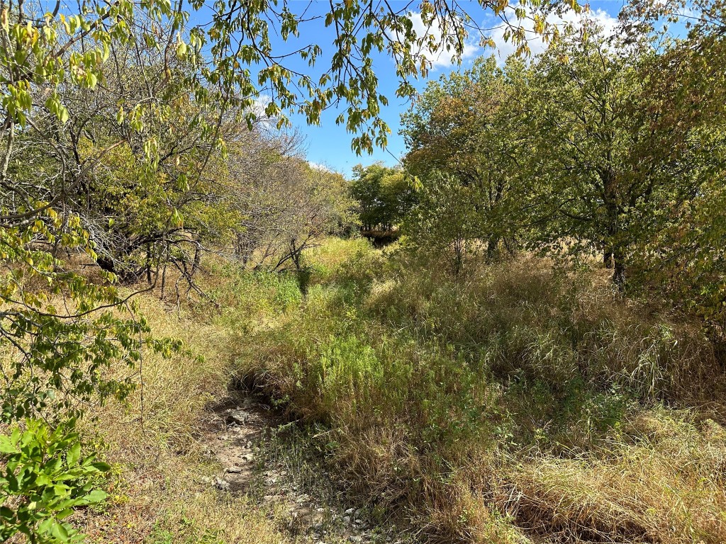 Tbd Lois Road W Sanger TX 76266