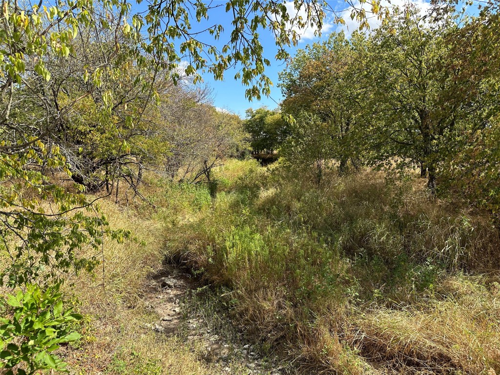 Tbd Lois Road W Sanger TX 76266