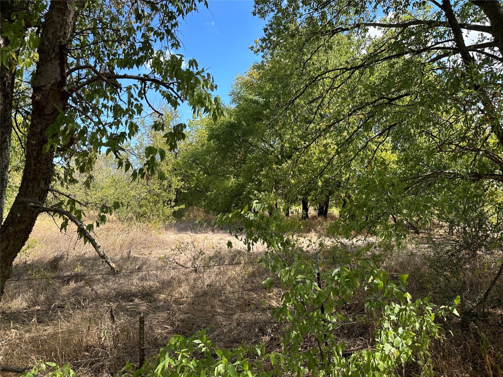 Tbd Lois Road W Sanger TX 76266