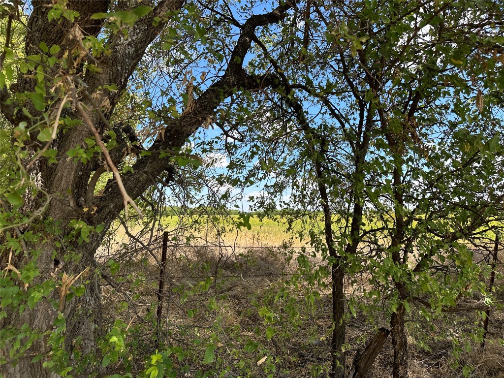 Tbd Lois Road W Sanger TX 76266