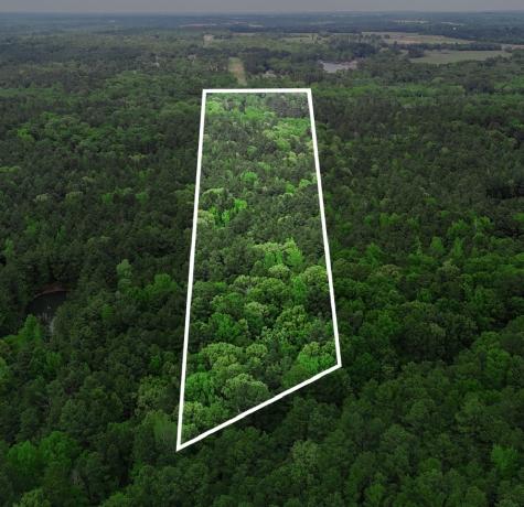 Tbd 10 Acres Cr 1113 Tyler TX 75703