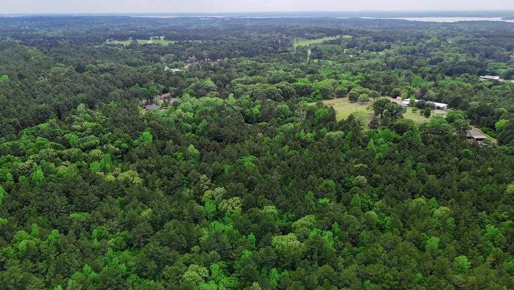 Tbd 10 Acres Cr 1113 Tyler TX 75703